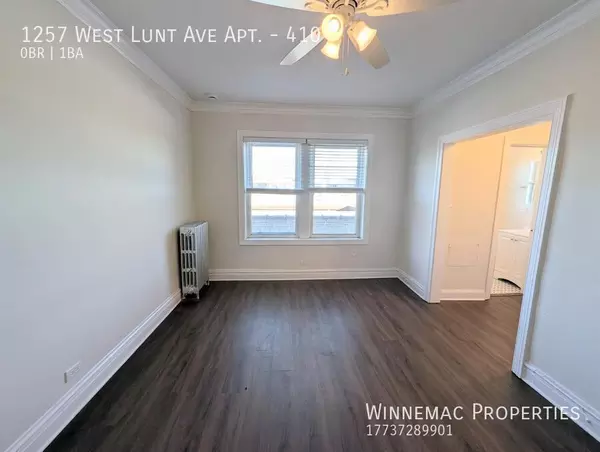 Studio Apartment for rent in Rogers Park - Far North Side, Chicago