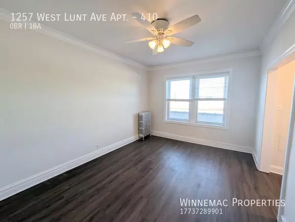 Studio Apartment for rent in Rogers Park - Far North Side, Chicago