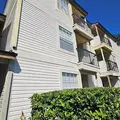 1 bedroom apartment for rent in Oak Ridge - West Orlando, Orlando