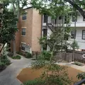 2 bedrooms apartment for rent in Hyde Park ATX - Central Austin, Austin