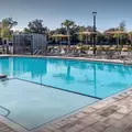 1 bedroom apartment for rent in University of Florida - Downtown Gainesville, Gainesville