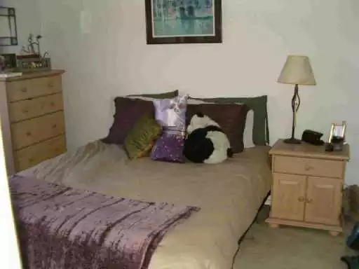 2 bedrooms apartment for rent in Old West Austin - Central Austin, Austin