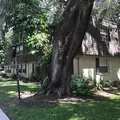 1 bedroom apartment for rent in Lake Davis/Greenwood - Central Orlando, Orlando