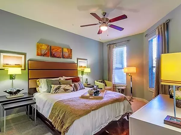 1 bedroom apartment for rent in South Congress - South Central Austin, Austin