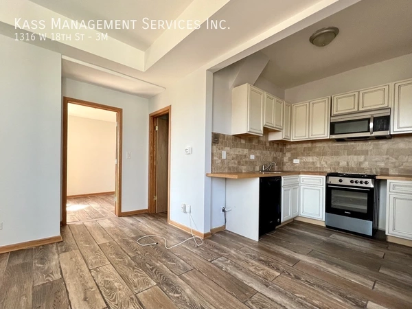 1 bedroom apartment for rent in Lower West Side - West Side, Chicago