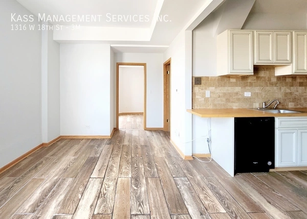 1 bedroom apartment for rent in Lower West Side - West Side, Chicago