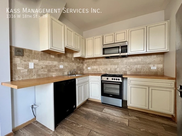 1 bedroom apartment for rent in Lower West Side - West Side, Chicago