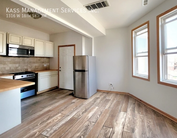 1 bedroom apartment for rent in Lower West Side - West Side, Chicago