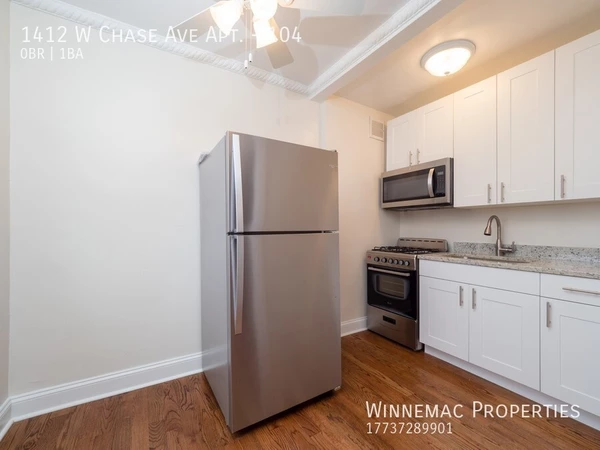 Studio Apartment for rent in Rogers Park - Far North Side, Chicago