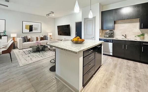 1 bedroom apartment for rent in Midtown Houston - Inner Loop, Houston