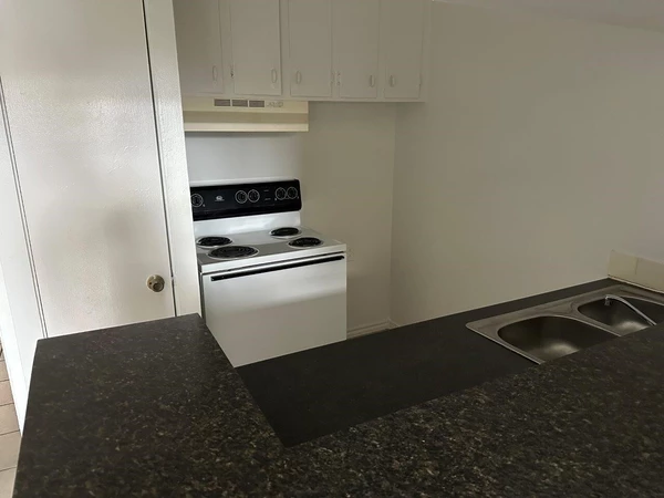1 bedroom apartment for rent in Montrose - Inner Loop, Houston