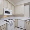 1 bedroom apartment for rent in Anderson Mill - North Austin, Austin