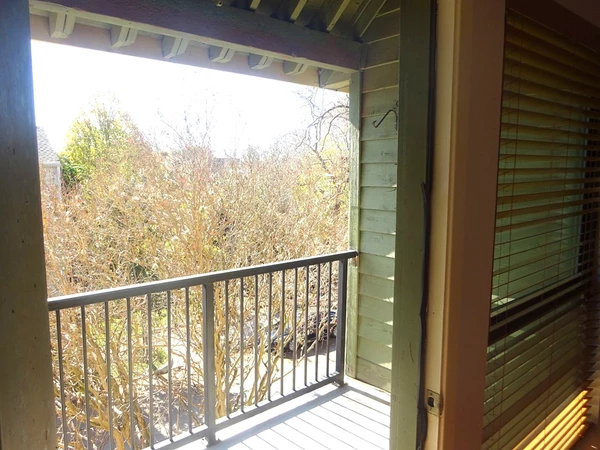 1 bedroom apartment for rent in Midtown Houston - Inner Loop, Houston