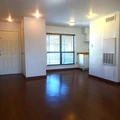 1 bedroom apartment for rent in Midtown Houston - Inner Loop, Houston