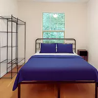 Coliving in Downtown Gainesville - Downtown Gainesville, Gainesville