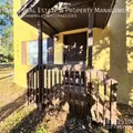 2 bedrooms apartment for rent in Sulphur Springs - North Tampa, Tampa