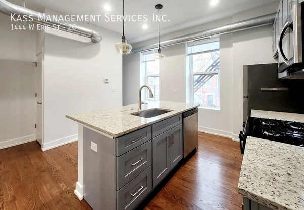 1 bedroom apartment for rent in West Town - West Side, Chicago