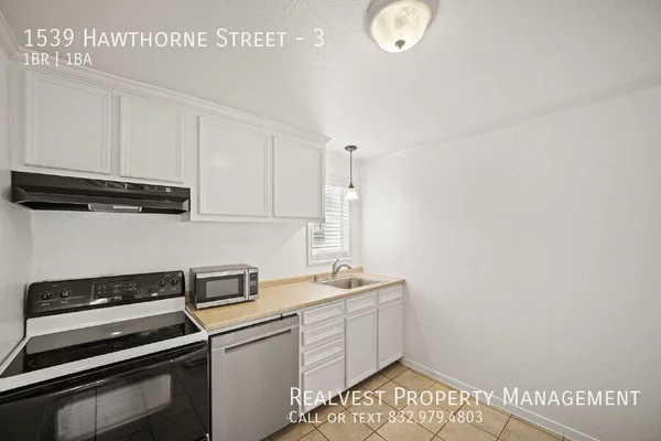 1 bedroom apartment for rent in Montrose - Inner Loop, Houston