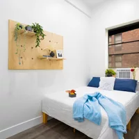 Coliving in Murray Hill - Manhattan, New York