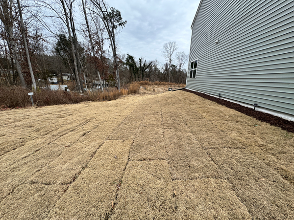 Coliving in Northeast Durham - Durham, Raleigh