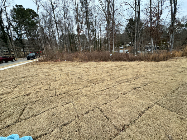 Coliving in Northeast Durham - Durham, Raleigh