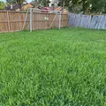 Coliving in East Houston - Ne Houston, Houston