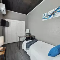 Coliving in Oak Cliff - Sw Dallas, Dallas
