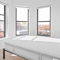 Coliving in Bedford Stuyvesant - Brooklyn, New York