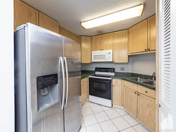 2 bedrooms apartment for rent in Streeterville - Central, Chicago