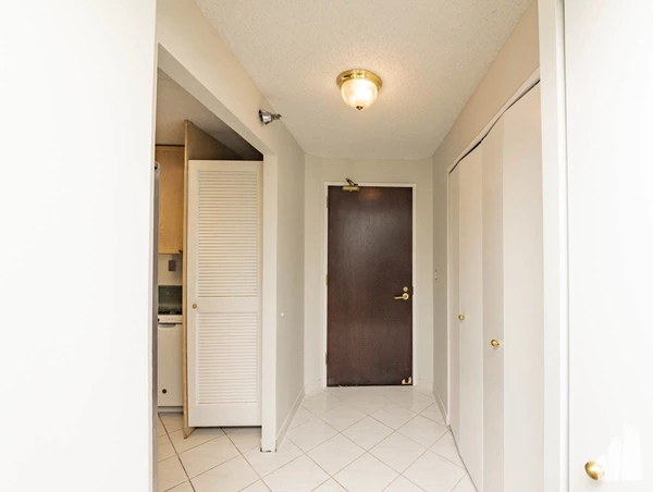 2 bedrooms apartment for rent in Streeterville - Central, Chicago