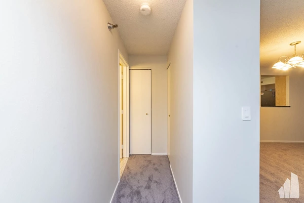 2 bedrooms apartment for rent in Streeterville - Central, Chicago