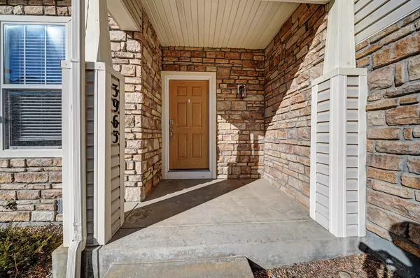 2 bedrooms apartment for rent in Briargate - North COS, Colorado Springs