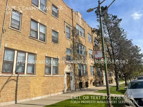 1 bedroom apartment for rent in South Shore - South Side, Chicago