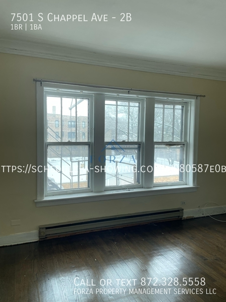 1 bedroom apartment for rent in South Shore - South Side, Chicago