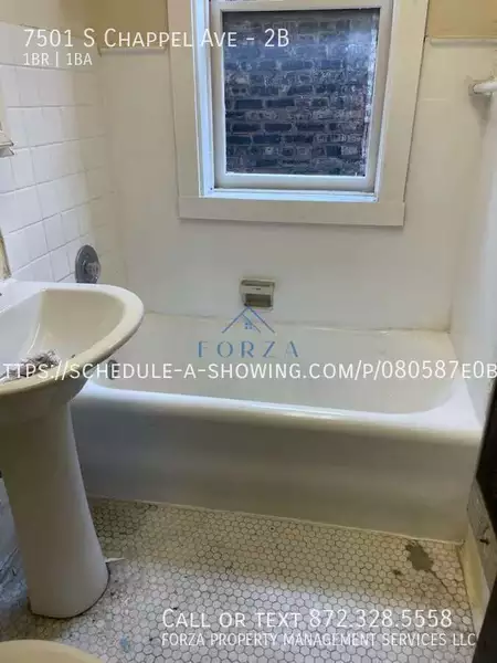 1 bedroom apartment for rent in South Shore - South Side, Chicago