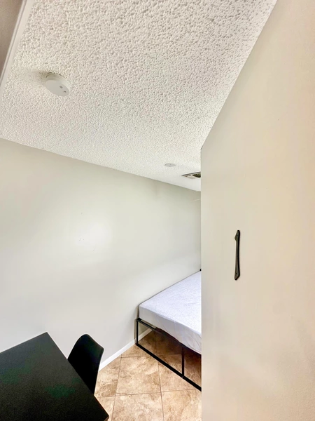 Coliving in Land O' Lakes - North Tampa, Tampa