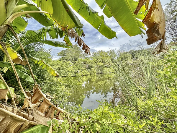 Coliving in Odessa - North Tampa, Tampa