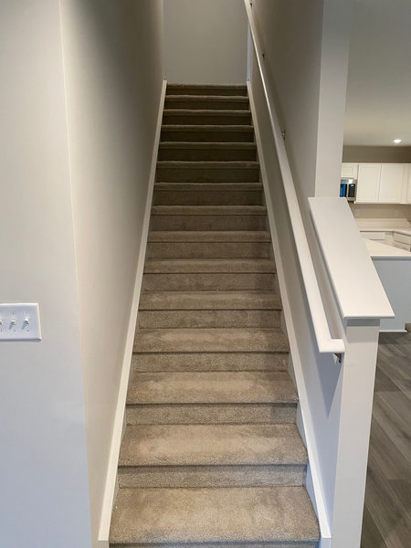 Coliving in Hickory Grove - East Charlotte, Charlotte