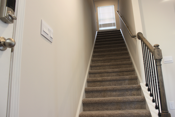 Coliving in Prosperity Church Road - North Charlotte, Charlotte