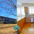 2 bedrooms apartment for rent in Elizabeth - Central Charlotte, Charlotte