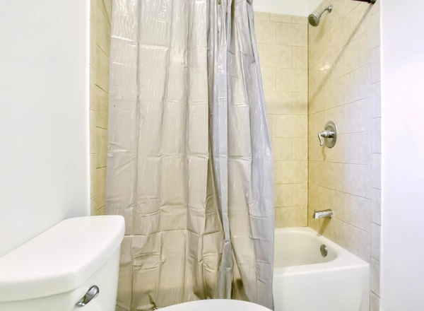 Coliving in Lowry Park North - North Tampa, Tampa