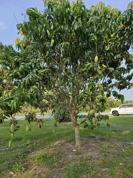 Coliving in Port Charlotte - North Port, Sarasota