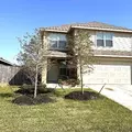 Coliving in Central Southwest - Sw Houston, Houston