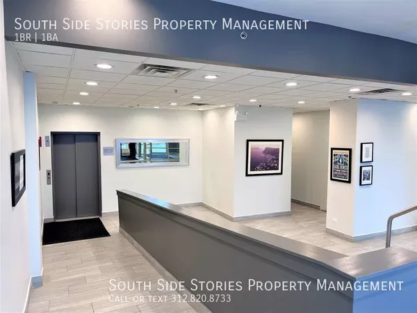 1 bedroom apartment for rent in Bronzeville - Central, Chicago