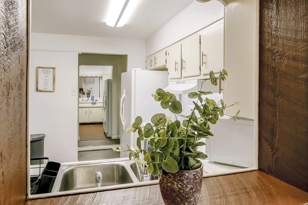 Coliving in University Square - North Tampa, Tampa