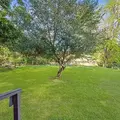 Coliving in Cedar Crest - Se Dallas, Dallas