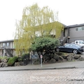 1 bedroom apartment for rent in Capital Hill - Central Seattle, Seattle