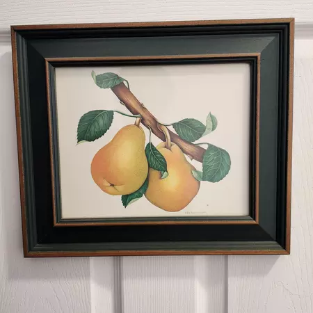 Coliving in Kingsessing - Sw Philadelphia, Philadelphia