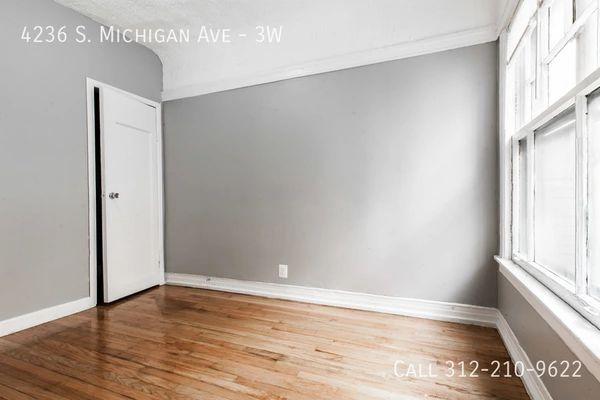 1 bedroom apartment for rent in Grand Boulevard - South Side, Chicago