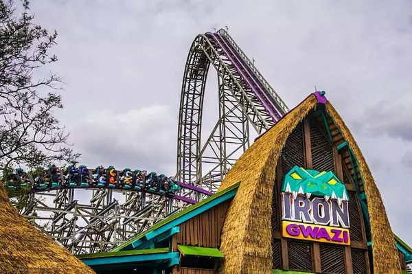 Coliving in Belmont Heights - East Tampa, Tampa